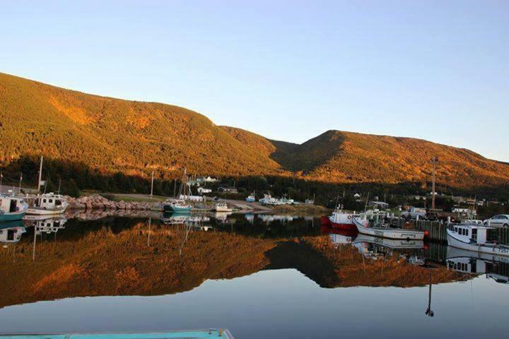 Burton'S Sunset Oasis Motel Bay Saint Lawrence Экстерьер фото