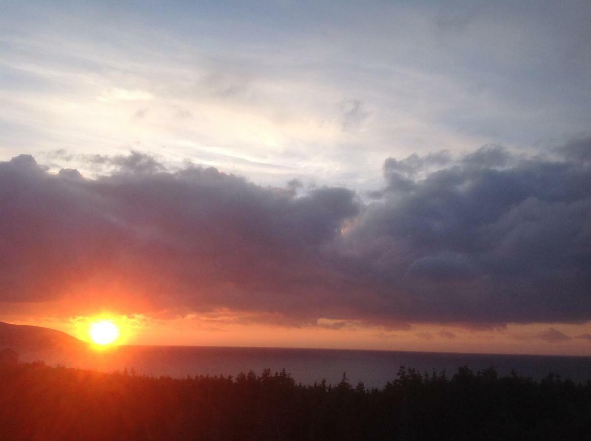 Burton'S Sunset Oasis Motel Bay Saint Lawrence Экстерьер фото